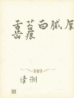 舌苔白腻厚 有齿痕