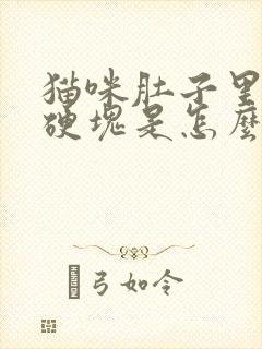 猫咪肚子里面有硬块是怎么回事