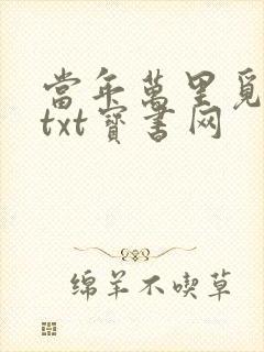 当年万里觅封侯txt宝书网