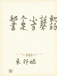 那个小说软件听书是有声的