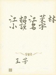 江招江茉林澄野小说名字封面