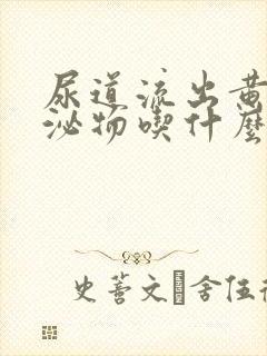 尿道流出黄绿分泌物吃什么药