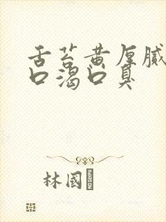 舌苔黄厚腻口干口渴口臭