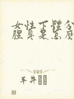 女性下体分泌物腥臭是怎么回事啊