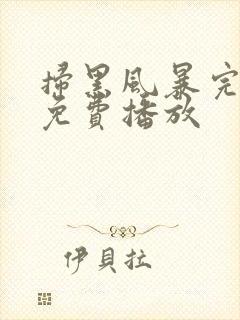 扫黑风暴完整版免费播放封面