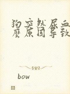 狗突然尿血是什么原因导致的