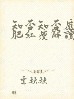 知否知否应是绿肥红瘦解读