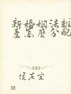 新婚姻法离婚财产怎么分配的