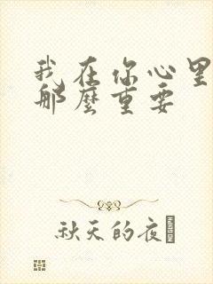 我在你心里没有那么重要封面