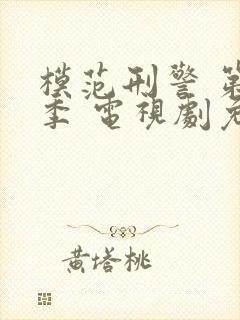 模范刑警 第一季 电视剧免费观看封面