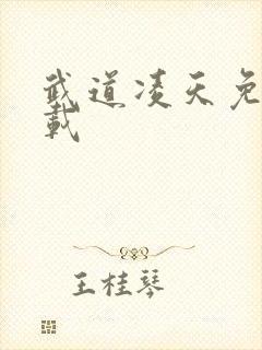 武道凌天免费下载封面