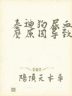 泰迪狗尿血是什么原因导致的