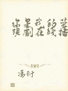 你是我的荣耀电视剧在线播放免费观看