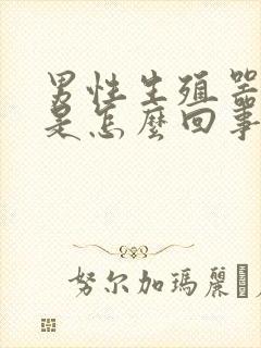 男性生殖器下痒是怎么回事