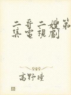 二哥二嫂第40集电视剧