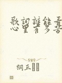 歌词谁能看清我心里有多苦封面