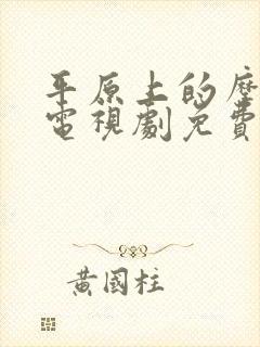 平原上的摩西 电视剧免费