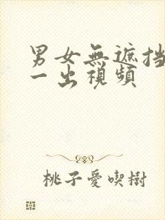 男女无遮挡一进一出视频