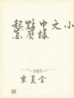 起点中文小说网怎么样封面