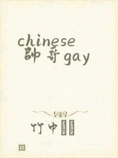 chinese 帅哥gay