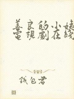 善良的小姨韩剧电视剧在线观看免费