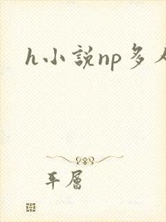 h小说np多人