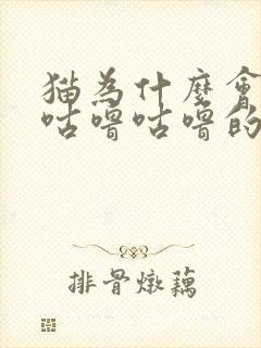 猫为什么会发出咕噜咕噜的声音?封面