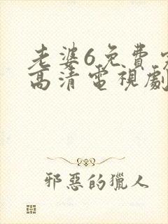 老婆6免费完整高清电视剧