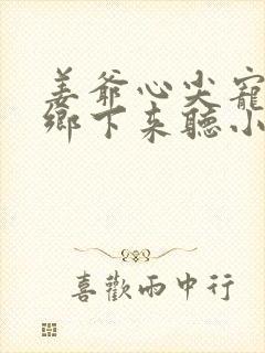 姜爷心尖宠她从乡下来听小说