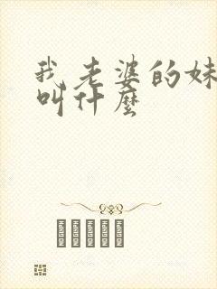 我老婆的妹妹我叫什么