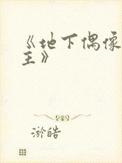 《地下偶像双男主》封面