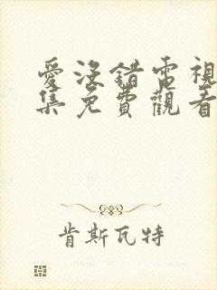 爱没错电视剧全集免费观看