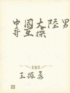 中国大陆男同帅哥互操