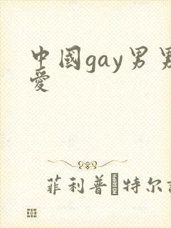 中国gay男男爱