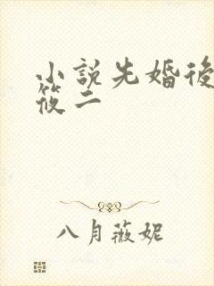 小说先婚后爱梦筱二