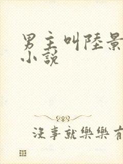 男主叫陆景珩的小说封面