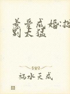 惹爱成婚:总裁别太猛