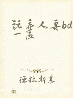 玩弄人妻bdb一区