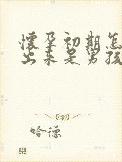 怀孕初期怎么看出来是男孩还是女孩