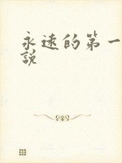 永远的第一名小说
