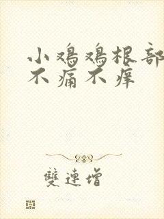 小鸡鸡根部疙瘩不痛不痒封面