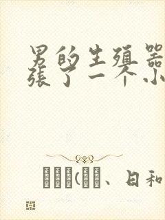 男的生殖器根部张了一个小肉疙瘩