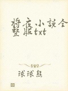将夜小说全集完整版txt
