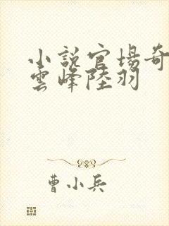 小说官场奇才刘云峰陆羽