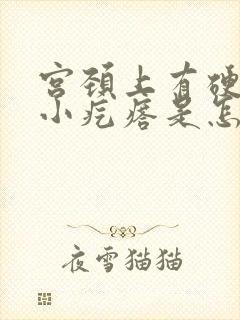 宫颈上有硬硬的小疙瘩是怎么回事