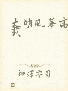 大明风华高清下载封面