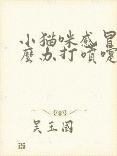 小猫咪感冒了怎么办打喷嚏流鼻涕