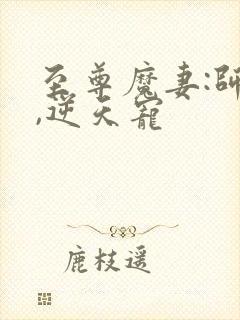 至尊魔妻:师父,逆天宠