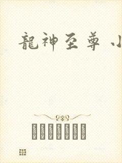 龙神至尊 小说