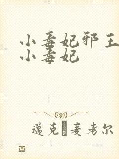 小毒妃邪王夜宠小毒妃